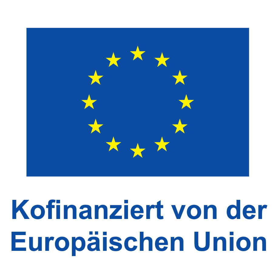 1d Logo EU Kofinanzeirt von der Europäischen Union vertikal